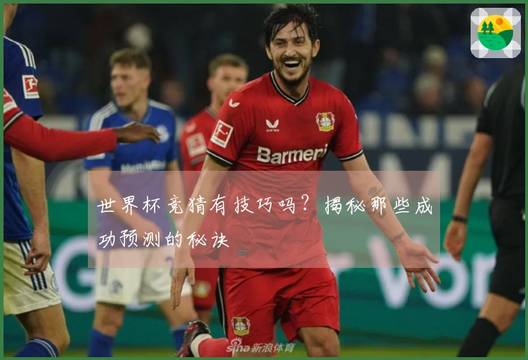 世界杯竞猜有技巧吗？揭秘那些成功预测的秘诀
