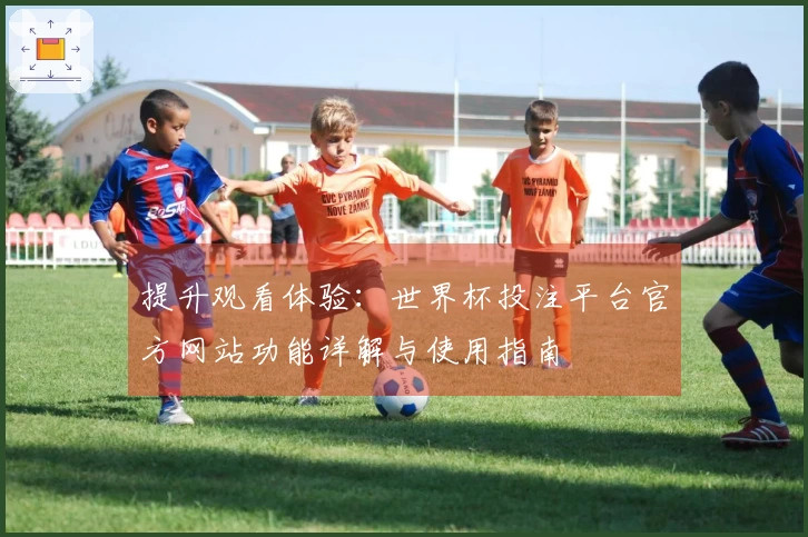 提升观看体验：世界杯投注平台官方网站功能详解与使用指南
