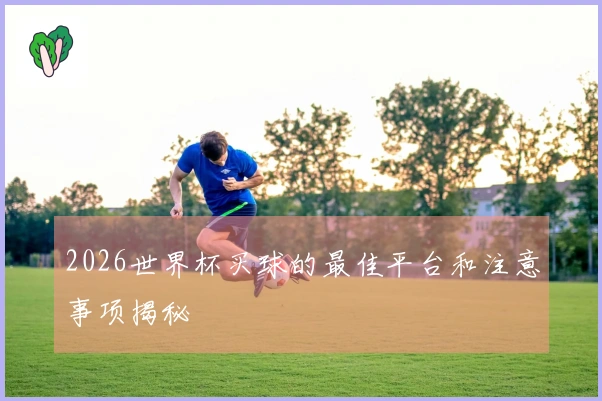 2026世界杯买球的最佳平台和注意事项揭秘