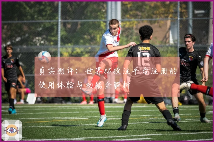 真实测评：世界杯投注平台注册的使用体验与功能全解析