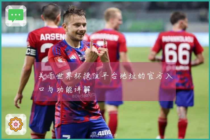 关于世界杯投注平台地址的官方入口与功能详解