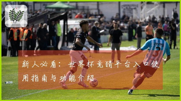 新人必看：世界杯竞猜平台入口使用指南与功能介绍