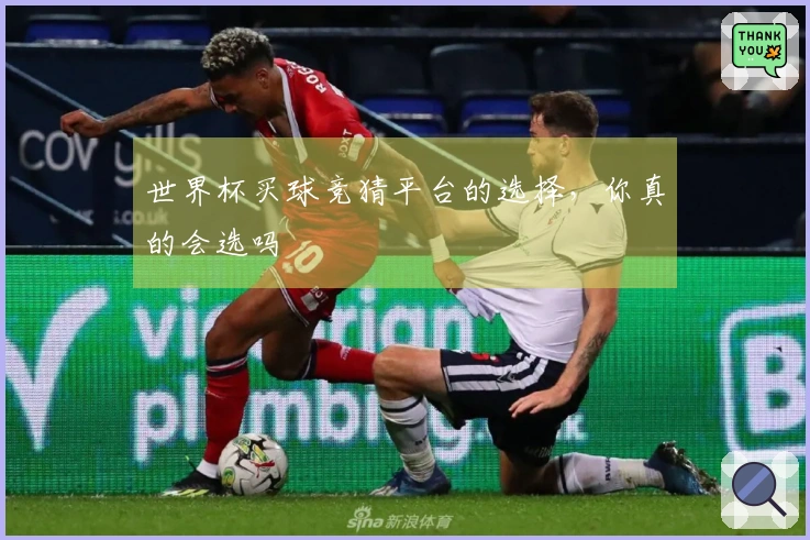 世界杯买球竞猜平台的选择，你真的会选吗
