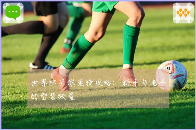 世界杯买球竞猜攻略：新手与老手的智慧较量