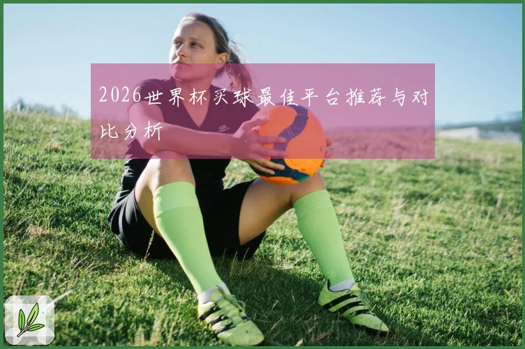 2026世界杯买球最佳平台推荐与对比分析