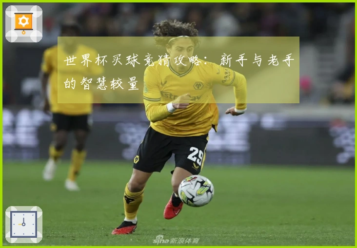 世界杯买球竞猜攻略：新手与老手的智慧较量